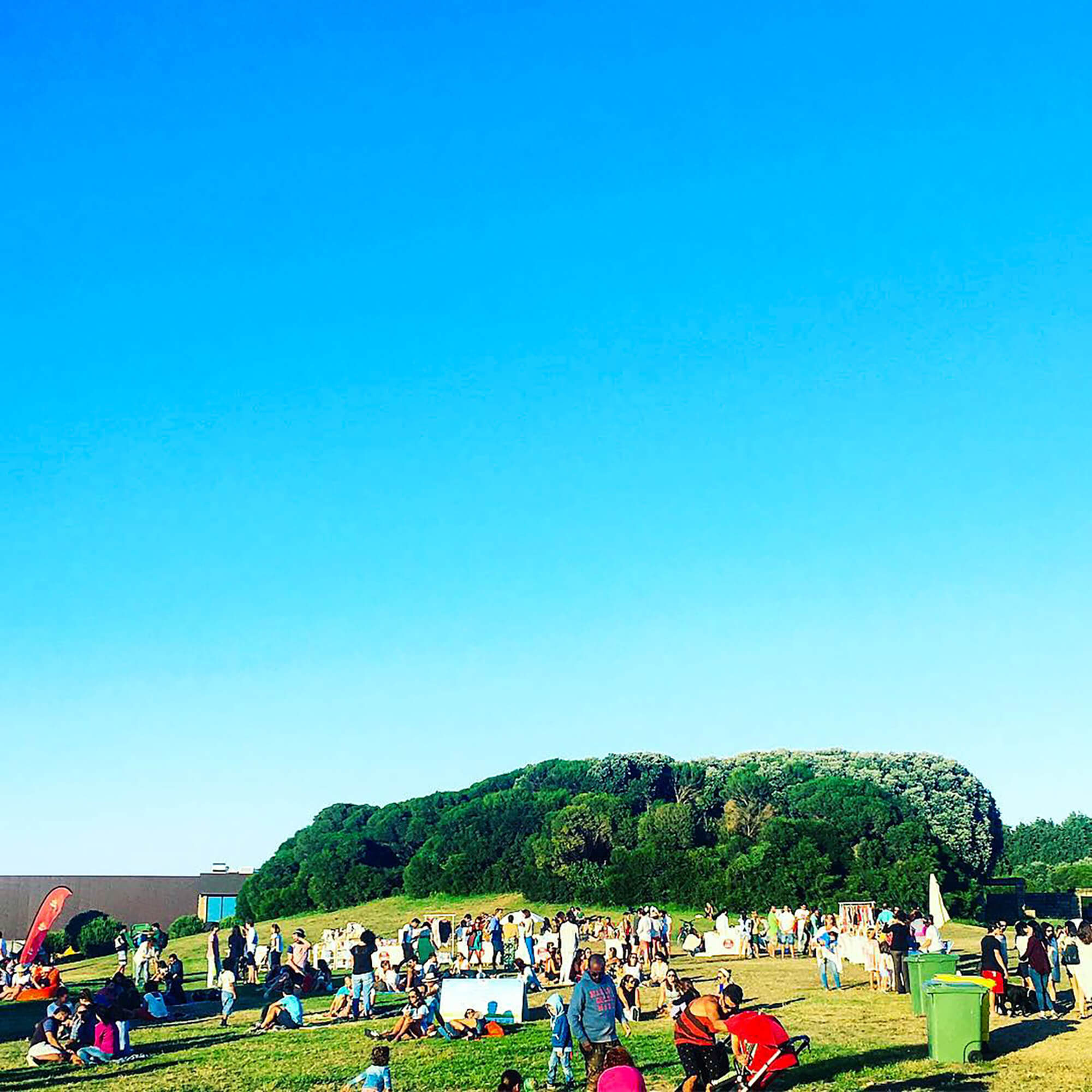 13704196_ca7dcc29 5499-475c-b997-1f1928eb0a45