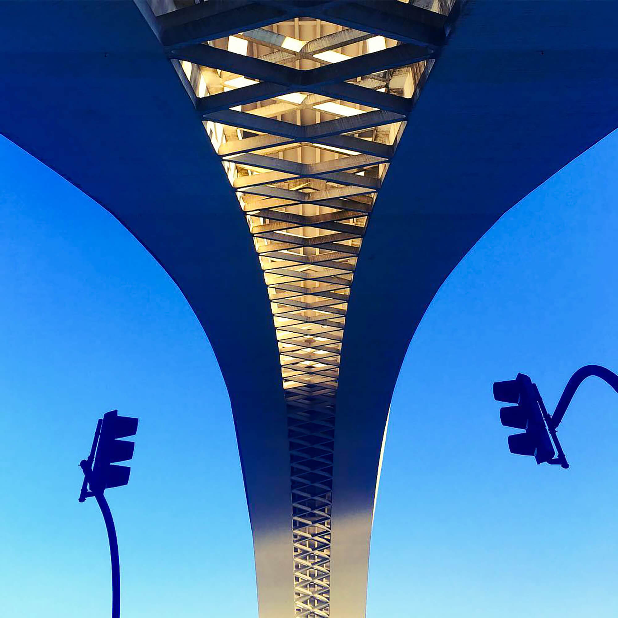 13704196_e6fac9d6 3ea6-481b-8763-8e2c6753a12d