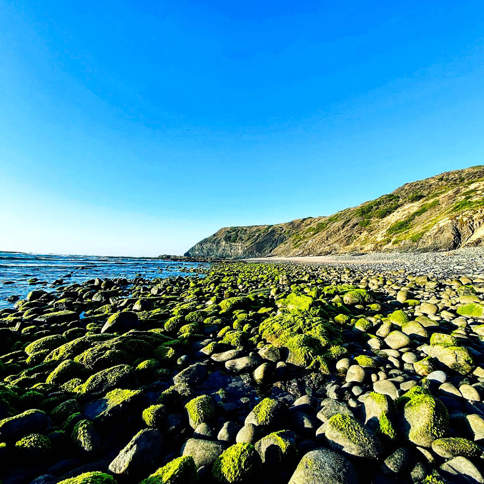 BE08E0FB 1BE8-4D76-8CC4-707911842E0A