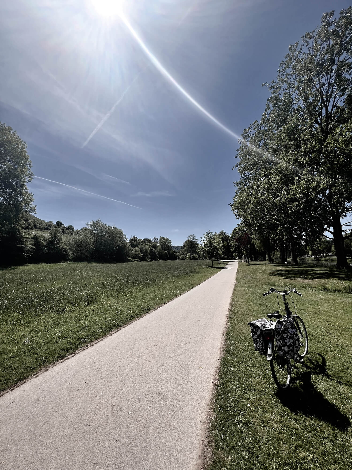 13704196_1ee1dece ece7-478a-b4d4-eacd43d0d4df